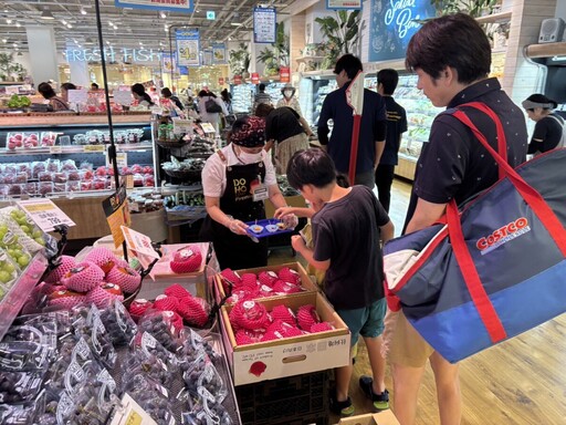 高雄紅龍果攻日成功 與大阪最大批發商合作試吃搶市佔