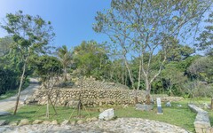 百年水梯田復舊重生 鹿谷坪仔頂水梯田永續理念獲建築園冶獎