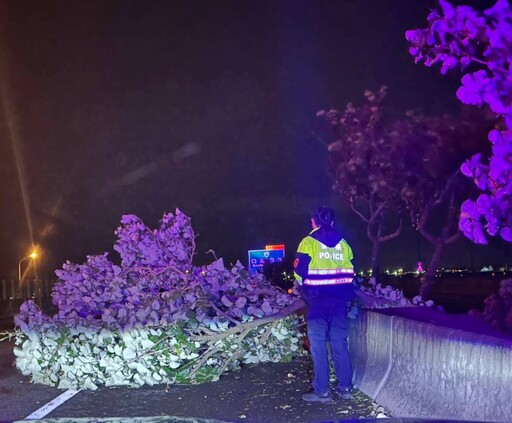 路樹橫倒台61線 員警半夜搶通路口