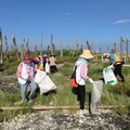 福興鄉今動員逾千人保護福寶濕地淨灘環境