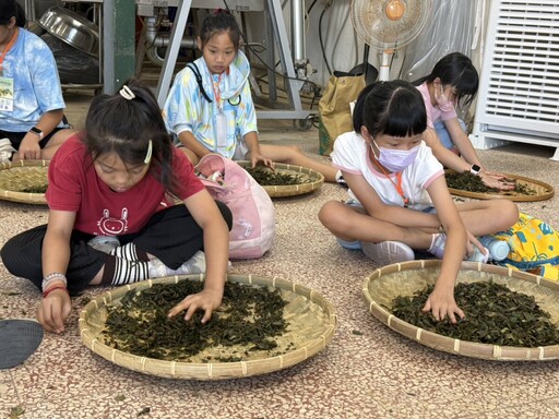 桃園市農業局推動自然教育 展現「桃園有植感」品牌精神
