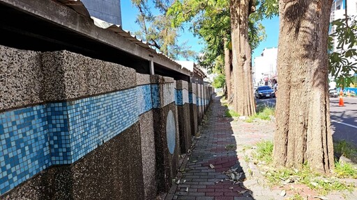 臺東縣政府推動臺東高中校園周邊暨行車安全道路改善 中華路一段黑板樹再利用