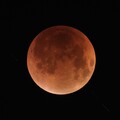 南瀛天文館直播月全食60萬人線上共賞 9月土星衝再續天文盛宴