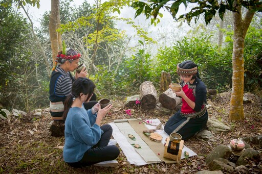 茂管處輔導成果驚豔國際 桃源「哈娜谷」野山茶奪雙金