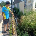 旗山廣吉路水溝泥沙雜草淤積超過一年未清 民眾怒批市府怠惰：「陳其邁是睡著了嗎？」
