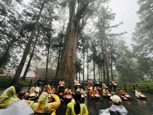 風雨無阻樂聲不歇！《川流：潺聲入林》台馬手碟音樂會 阿里山雨中完成歷史性首演