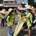 口湖濕地教育展開 學童體驗永續智慧