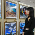 鏡頭藏情誼「雲起阿里山•月圓東錢湖」寧臺跨海影像交流正在寧波舉行