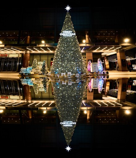 耶誕跨年倒數魅力搶商機！12米浪漫雪花閃耀耶誕樹搶先亮相