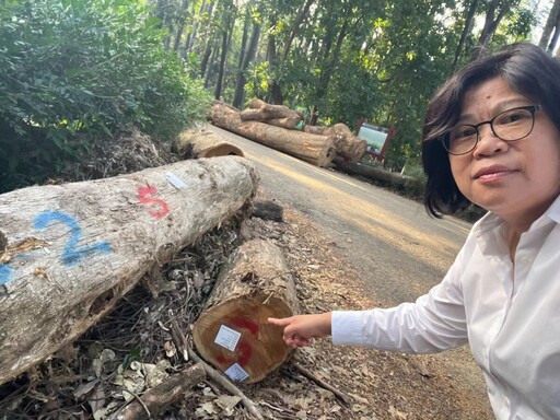 嘉義樹木園修復卡關 立委王美惠爭取經費到位陳駿季下令加速辦理