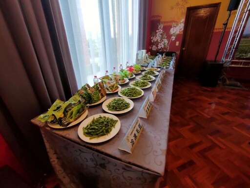 2025毛豆文化祭「魔豆傳奇」綠金尋寶趣活動