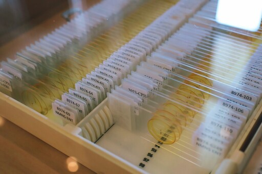 科博館獲贈世界級「蚊人」蒐藏6274玻片標本