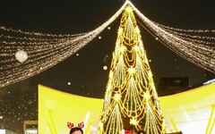陳其邁點亮高雄26米永恆星冠 中央公園一秒變聖誕小鎮