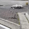 人行道詭異浮動13秒！日本強震地板變海浪