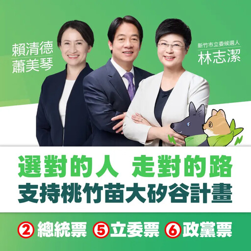 林智堅臉書呼籲：「票投2、5、6」守護台灣