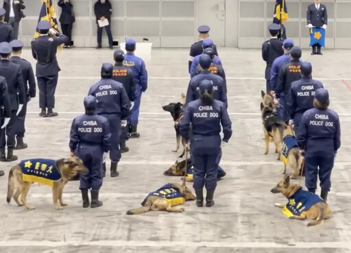 長官威嚴盡失！警犬聽致詞睡到翻肚