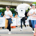 台北渣打馬拉松25日開跑 活動資訊懶人包