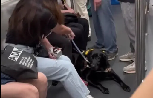 導盲犬在捷運車廂被老伯罵！視障女3句回嗆