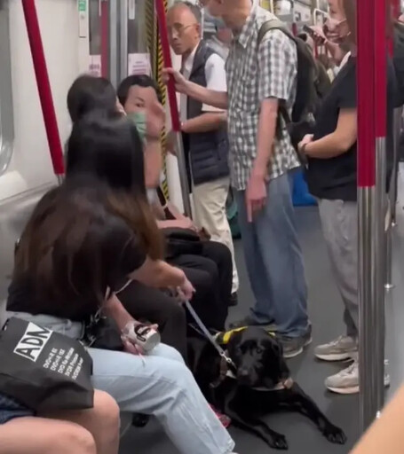 導盲犬在捷運車廂被老伯罵！視障女3句回嗆