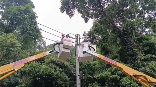 電桿遭樹木壓斷 桃園復興區4690戶全數復電