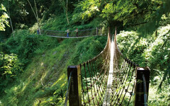 端午連假梨山谷關避暑 旅宿高鐵免費接駁