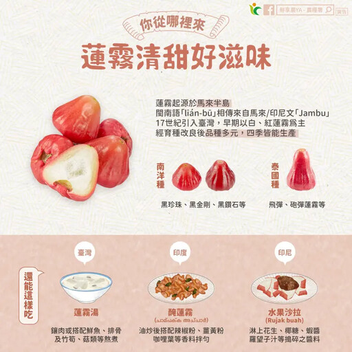 外國人最愛台灣這水果！農糧署揭隱藏吃法