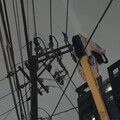 台北屏東停電昨晚都停電！台電重申沒缺電