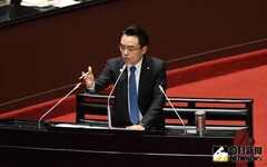 開議在即 他搶先喊：52藍＋8白團進團出