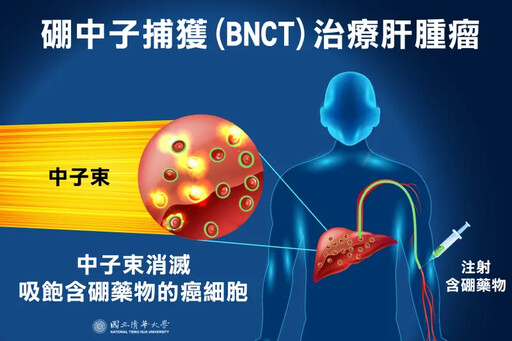 清大攜手馬偕醫院 硼中子捕獲技術治療肝癌