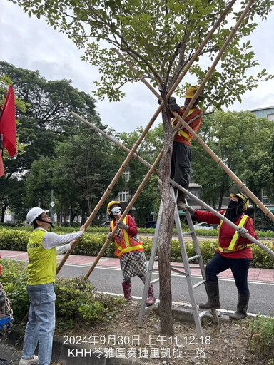 颱風來襲 高市公園處籲車輛勿停樹下