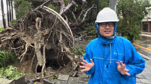 颱風山陀兒席捲高雄 小港現場直擊大樹倒塌