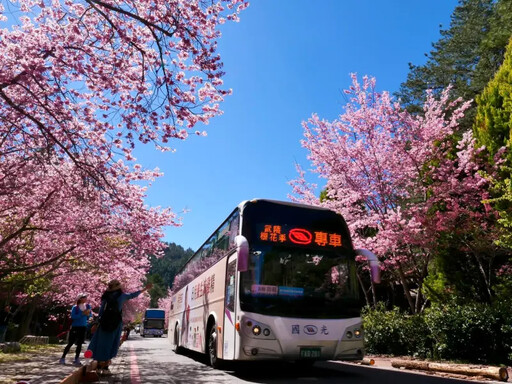 明年櫻花季日期出爐 3時段搶武陵農場住宿