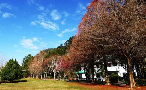 康芮逼近！合歡山、奧萬大森林遊樂區明休園