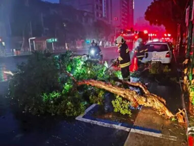 康芮襲台！北市災情69件 5058軍警待命防災