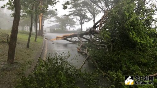 曝康芮有這颱風即視感 他預測恐怖後果