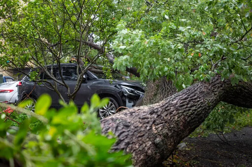 康芮襲台 林口路樹、機車、施工圍籬被吹倒