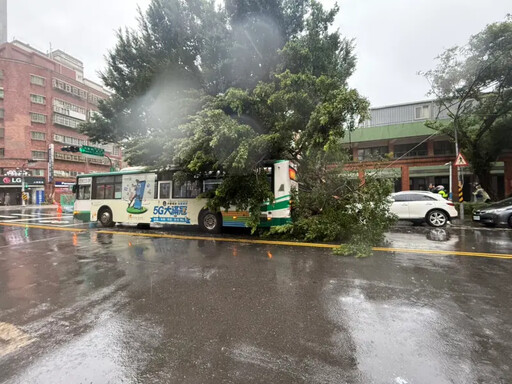 影／「康芮」吹倒巨樹 壓公車幸5乘客無礙