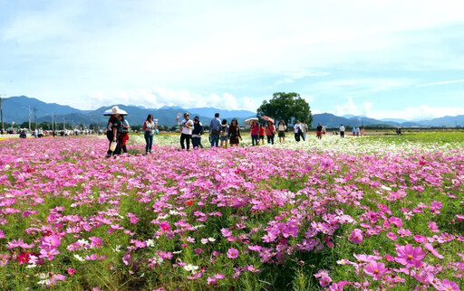 2024新社花海暨國際花毯節 11/9繽紛登場