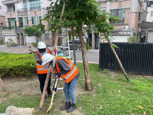 天兔颱風加速來襲！高雄市公園處防颱護樹