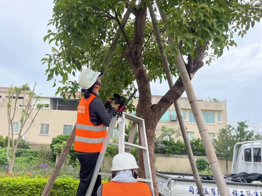 天兔颱風加速來襲！高雄市公園處防颱護樹