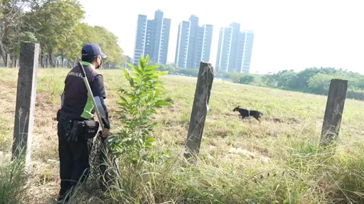 犬殺意外頻傳 農業部遭檢討