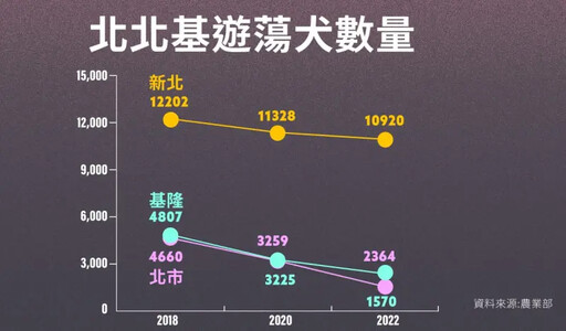 高強度母犬絕育 助基隆、北市浪浪減半