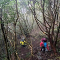 高山症發作遭獨留深山 女山友駁被隊友丟包