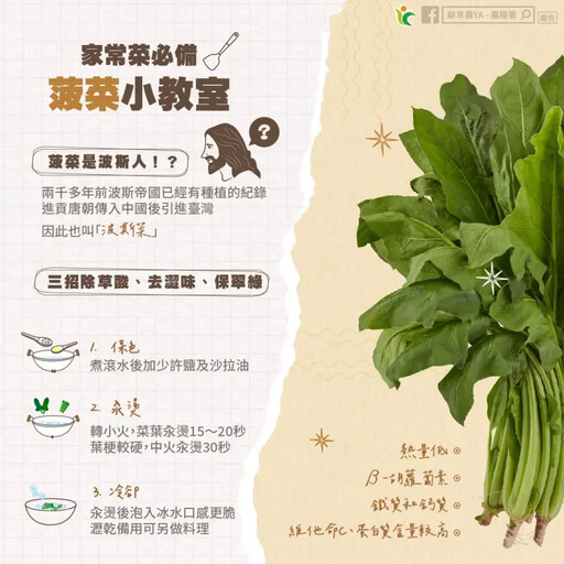 農糧署教3招 去菠菜「波斯菜」澀味方法