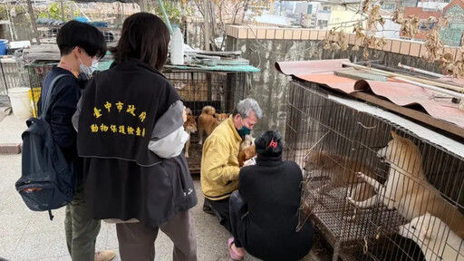 台中鬧區頂樓淪名犬繁殖場 他靠捏奶頭破案