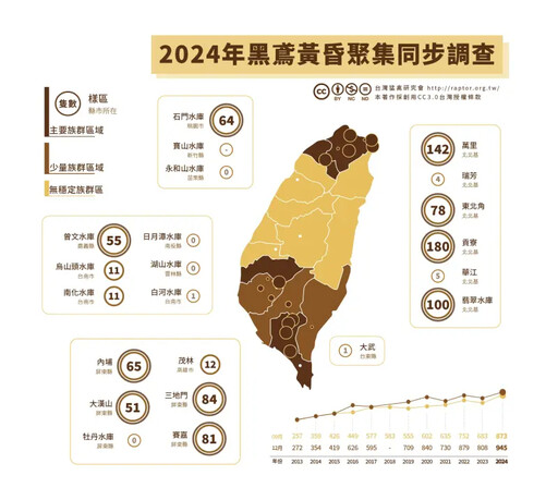 黑鳶數量創新高！北海岸族群達歷年最高紀錄