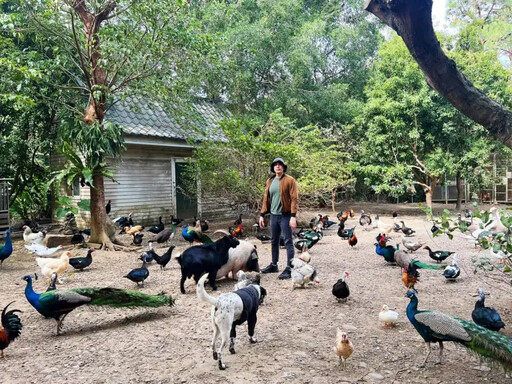 住民宿像在動物園 近距離餵養樂趣多