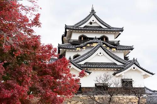 日本滋賀縣秋冬秘境！賞千年歷史與自然之美