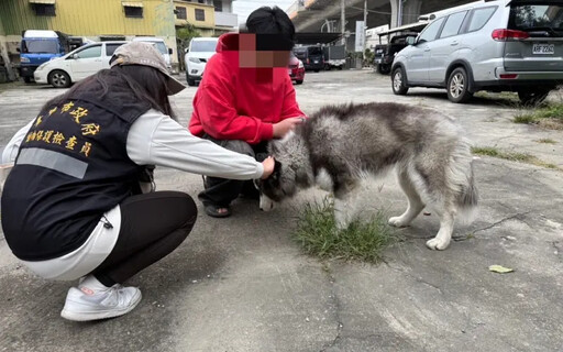 通緝犯領養小哈士奇暴打 網友揪堵人他逃了