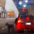 小黑狗快車道狂追丟包飼主！網友拳頭硬了